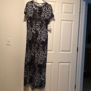 NWT cheetah Maria